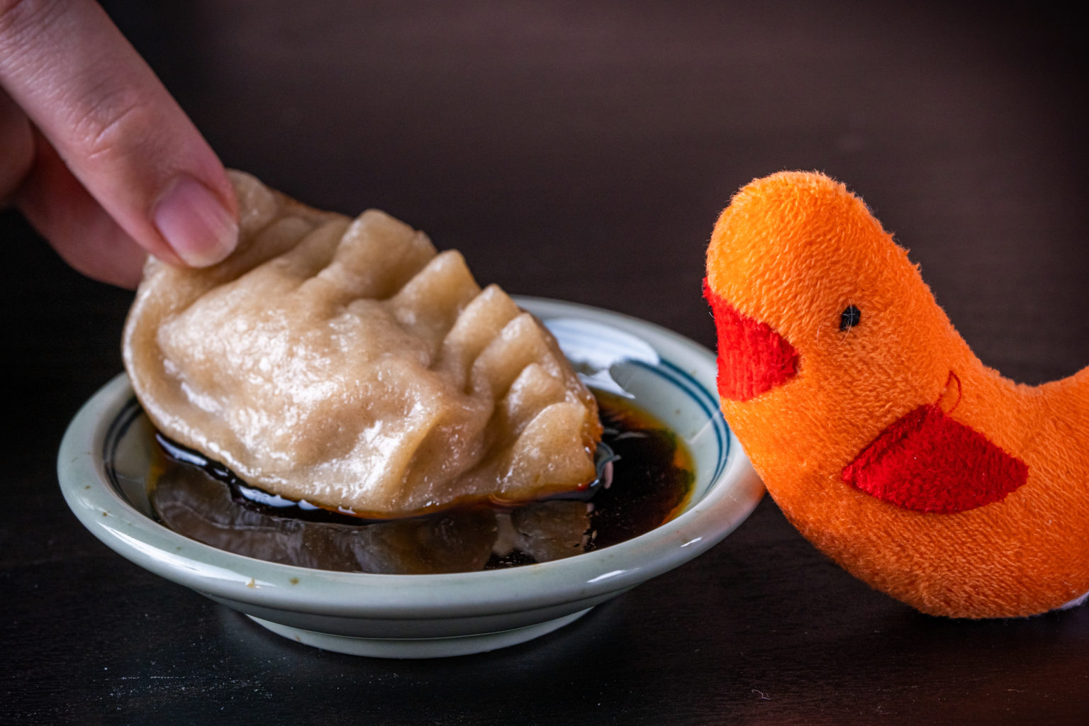 Dumpling Dipping Sauce Sushi Day