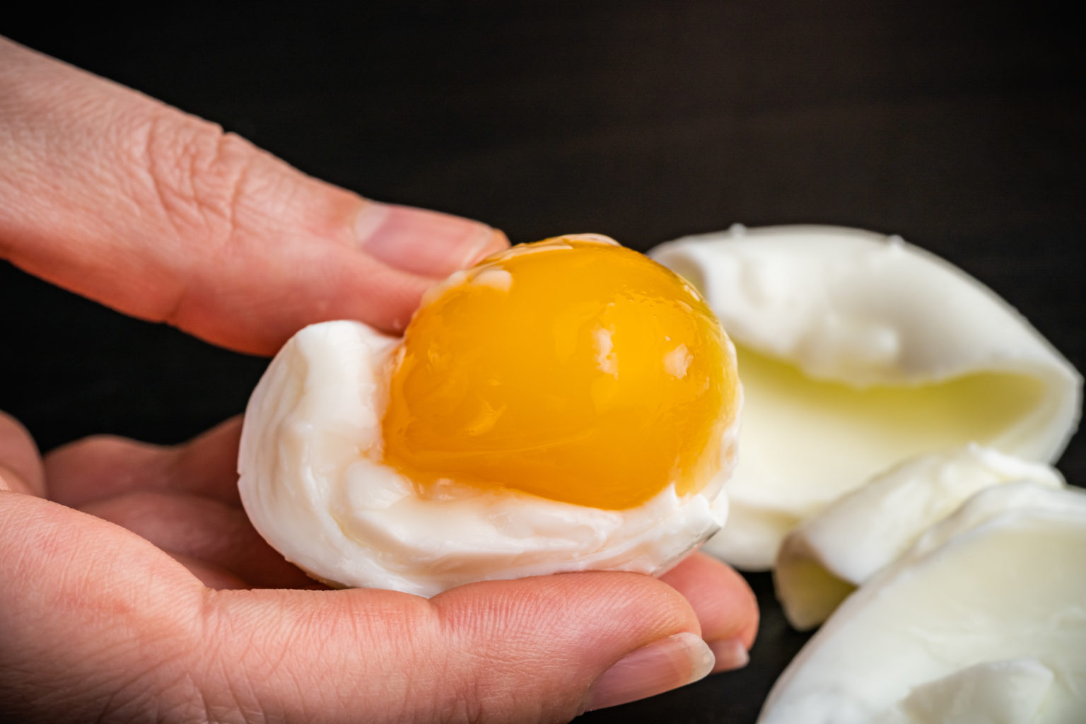 Salted Egg Yolks Sushi Day