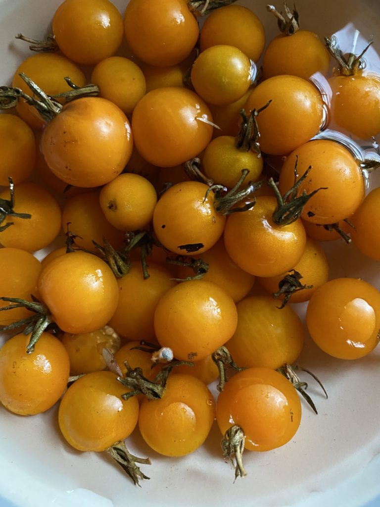 golden cherry tomatoes